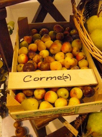 6 ajo 92gm cormes